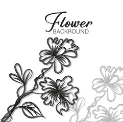 Obraz premium Elegant Black and White Flower Background Design Illustration