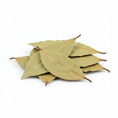 Fototapeta premium Close-up of dried bay leaves on white background.