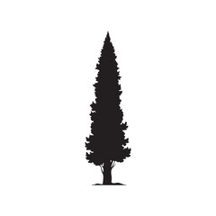 Cypress Tree Silhouette Vector Tall Narrow Tree Illustration