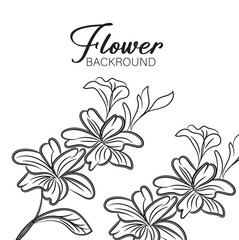 Obraz premium Elegant Black and White Flower Background Illustration