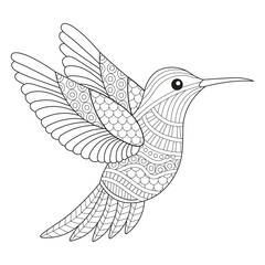 Intricate Hummingbird Line Art