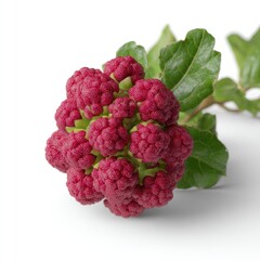 A vibrant cluster of red, berry-like fruits with a green leafy branch, showcasing a unique and textured appearance.