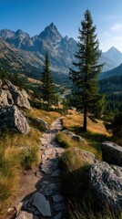 Obraz premium Mountain Trail Through Meadow