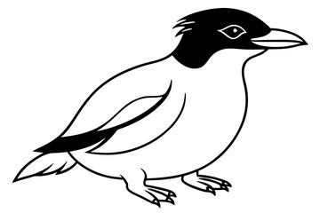 Penguin Outline Vector