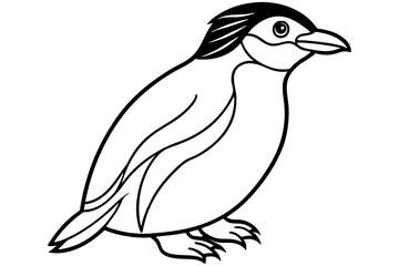 Penguin Outline Vector