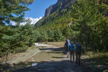 Happy group hikers with backpacks walking together on trek in green forest with mountains in background.