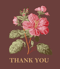 Hibiscus fabric blooming realistic isolated flowers. Vintage background. Set thank you wildflowers. Wallpaper baroque. Drawing engraving. Vector illustration © Наталья Лобенко