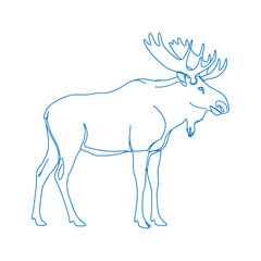 Simple minimal hand drawn moose vector illustration featuring side view with elegant line art and modern wildlife design elements