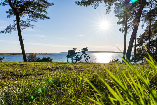 Bicycle with Panniers on a Hill near Kummerower See Surrounded by Pine Trees on a Sunny Afternoon