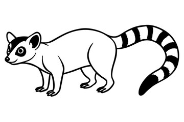 Ringtail Outline