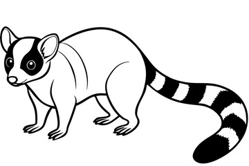 Ringtail Outline