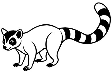 Ringtail Outline