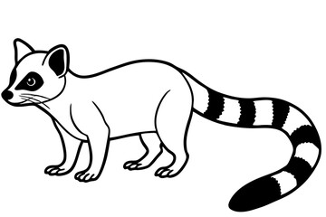 Ringtail Outline