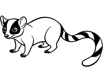 Ringtail Outline