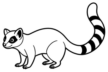 Ringtail Outline