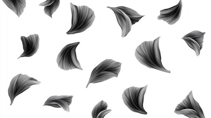 Fototapeta premium Black petal set. scattered flower petals with detailed texture on white background
