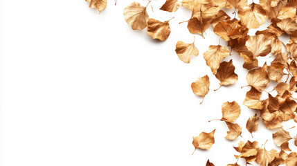 Fototapeta premium golden autumn leaves PNG