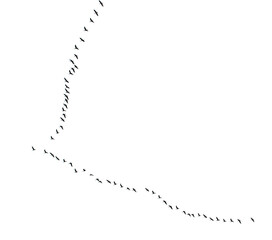 A flock of birds flying in a line across a white background