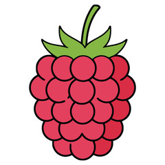 raspberry fruit nature healthy food flat color vector illustration template design