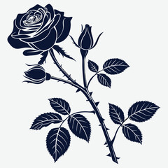silhouette rose on white background