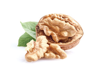 Walnuts with leaves on white background