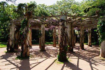 Rustic pergola with vine covered columns in Caldas da Rainha, Portugal