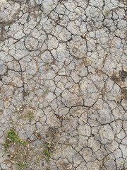 Cracked earth during dry season. Climate change, heatwaves, and environmental impact concept