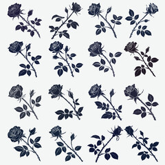 silhouette rose on white background