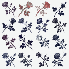 silhouette rose on white background