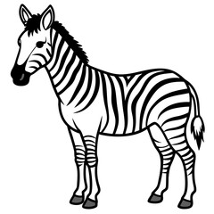 Zebra line art vector illustration and white background