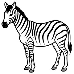 Zebra line art vector illustration and white background