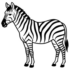 Zebra line art vector illustration and white background