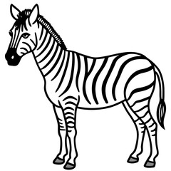 Zebra line art vector illustration and white background