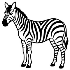 Zebra line art vector illustration and white background