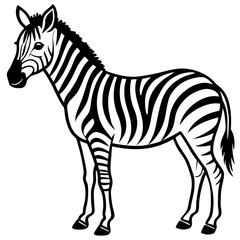 Zebra line art vector illustration and white background