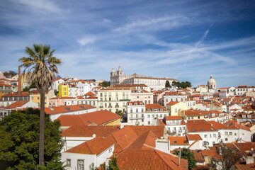 Alfama in Lisbon: Miradouro de Santa Luzia Viewpoint.