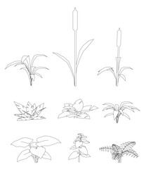 A variety of different plants, including a tall plant with a long stem and a small plant with a leafy stem. The plants are all drawn in black and white, giving the image a simple and minimalist look
