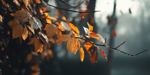 Autumnal Branch: Golden Leaves in Serene Mist