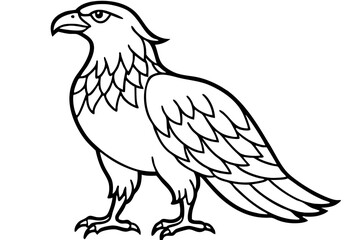 Eagle Full body line art vector illustration and white background