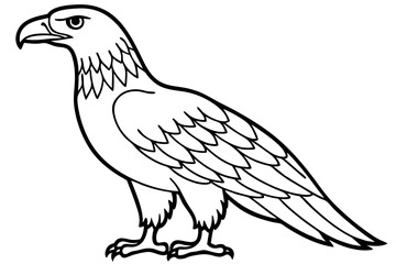 Eagle Full body line art vector illustration and white background