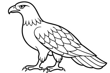 Eagle Full body line art vector illustration and white background