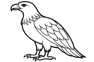 Eagle Full body line art vector illustration and white background