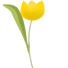 Cute Hand drawn Tulip flower