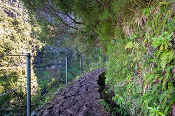 Wonderful levadas in Madeira, Portugal.