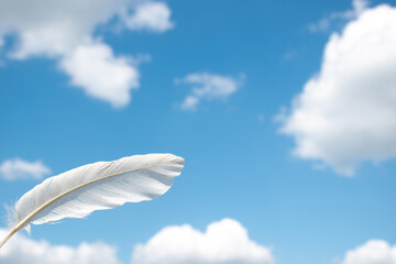 Lightweight white pigeon feather on blue sky background. Concept of commercial air flights