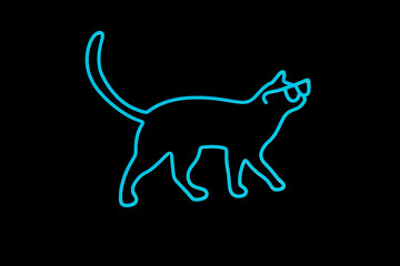 light blue of couple, 2 two walking Cats Neon Sign symbol isolated on black background. Cat wearing glasses sunglasses