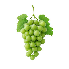 bunch of green grapes isolated