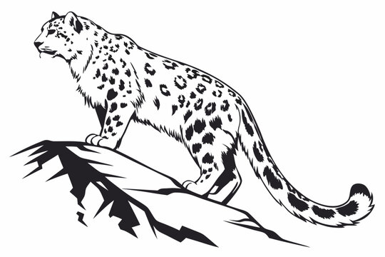 snow leopard sihouette black vector