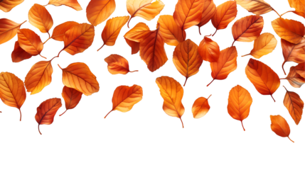 Orange Autumn Leaves Fall Nature Template for Seasonal Card Designs.