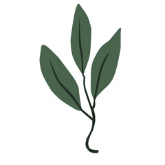 Green Leaf Vector Design Element